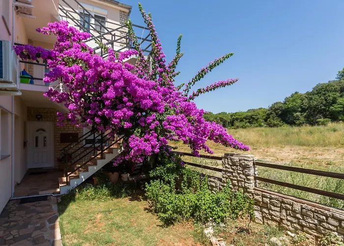 Appartement Puntizela 92 Pula